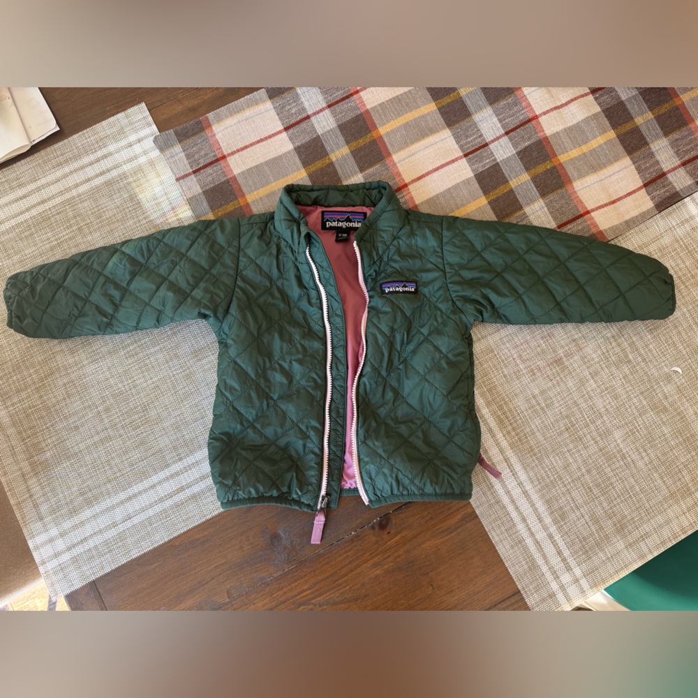 Patagonia Forest Green Jacket with Soft Pink Interior 12-18 months